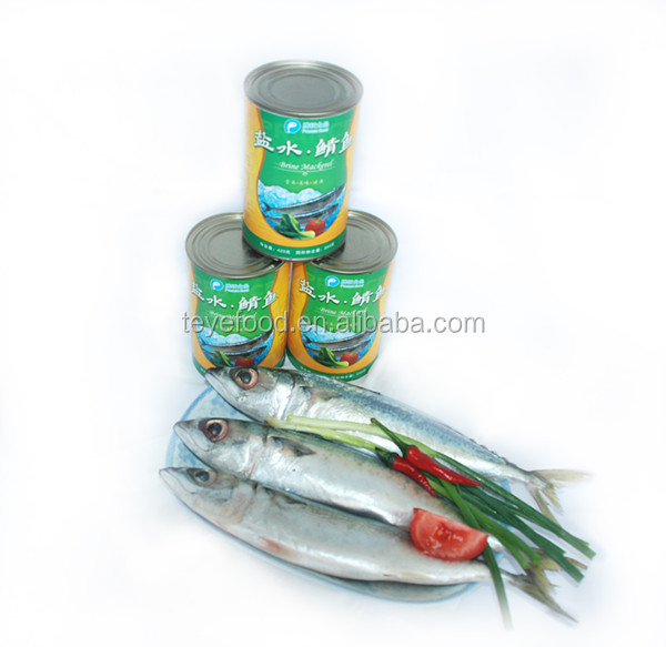 Canned Mackerel in Brine