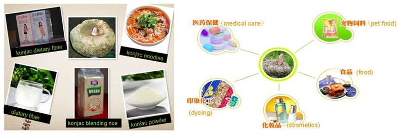 shirataki konjac noodles in knots wholesale noodles factory in china