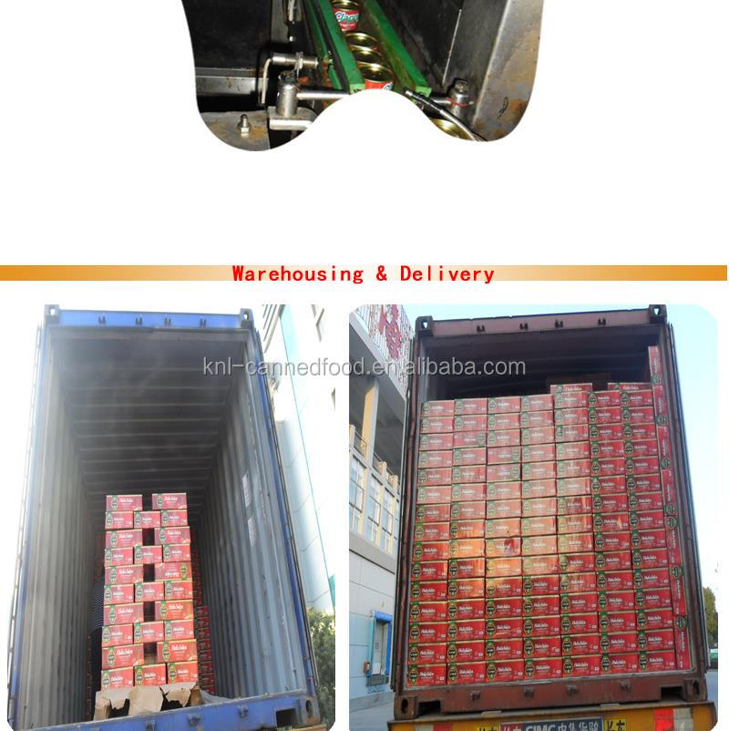Tomato paste in can 800gx12tins