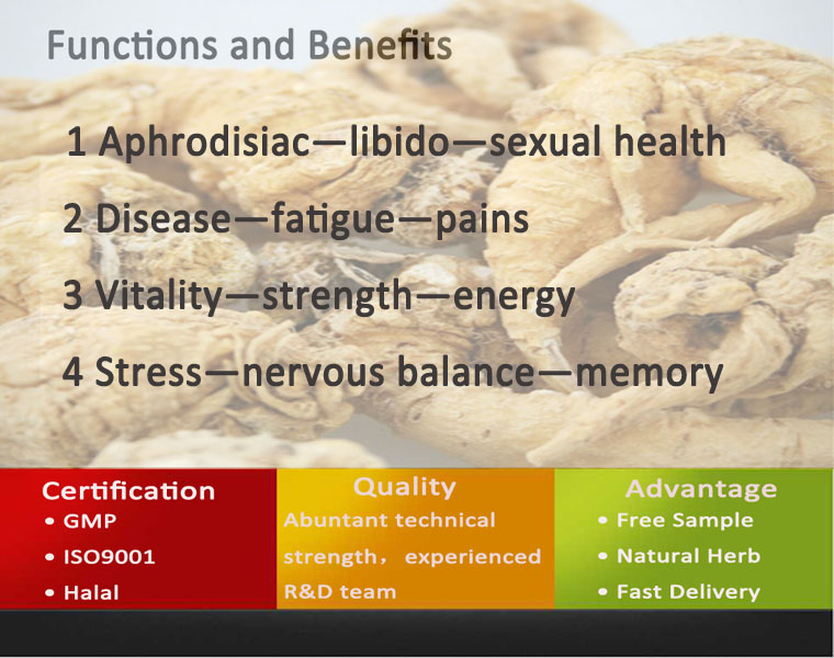Black Maca For Men/Black Maca Extract/Black Maca