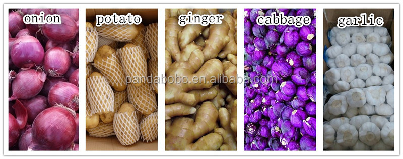 New crop We are the red onion exporters in china in factory price in 2014 in high quality