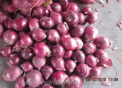 2014 new crop red onion