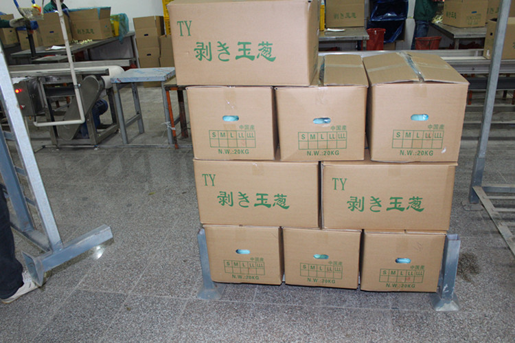 2014 Export Fresh Yellow Onion in Bulk