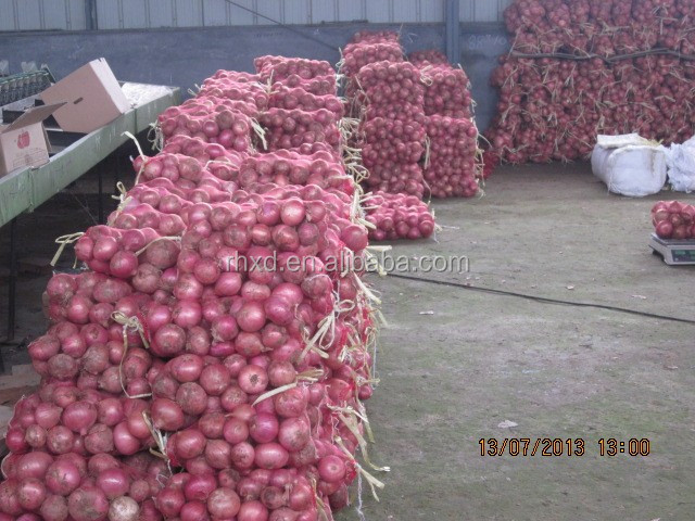 2014 new crop fresh onion with good price