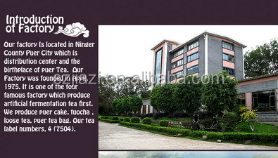 tea brands name puerhkiss raw puer tea