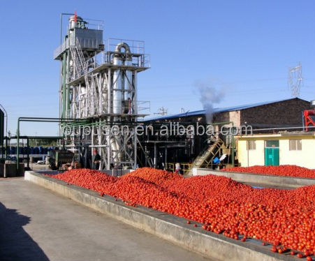 Drummed Sauce Ketchup Tomato Paste