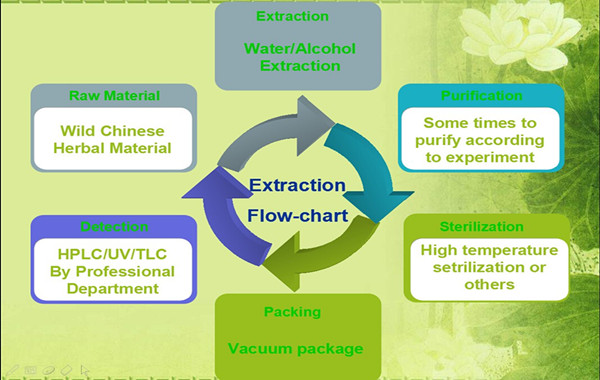 Top Quality Low Price Cocoa Seed Extract 100% Natural Cocoa Powder