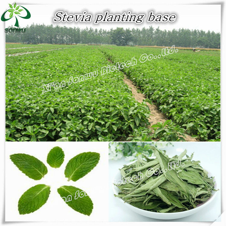 organic stevia pure stevia powder price