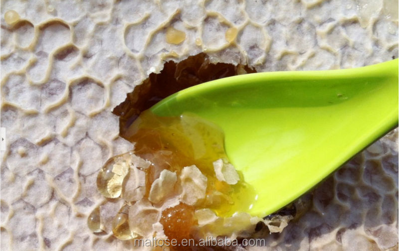 Good Quality New Sidr Golden Combed Honey
