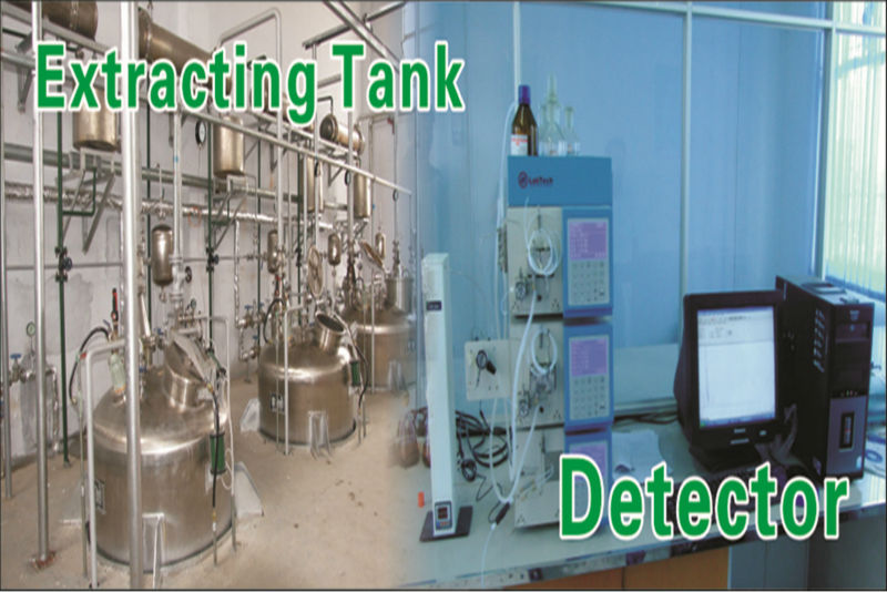 Factory Price Of Instant Coconut Water Powder/Coconut Fat Powder
