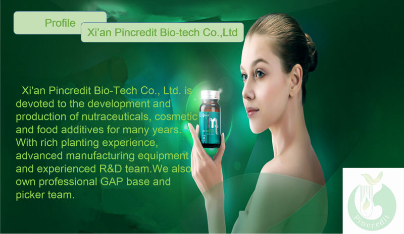 GMP Factory Supply Cocoa Seed Extract/Cocoa Powder Price