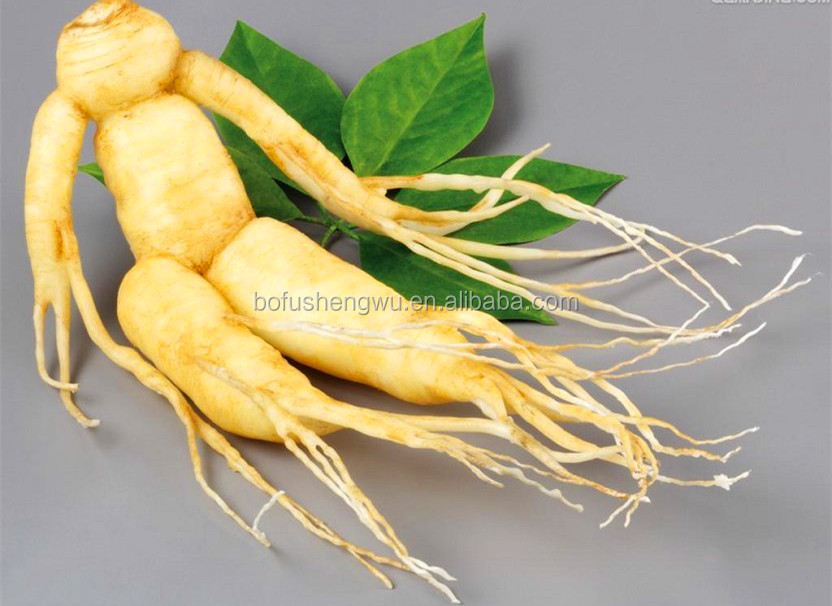 Pure ginseng extract/bulk ginseng extract