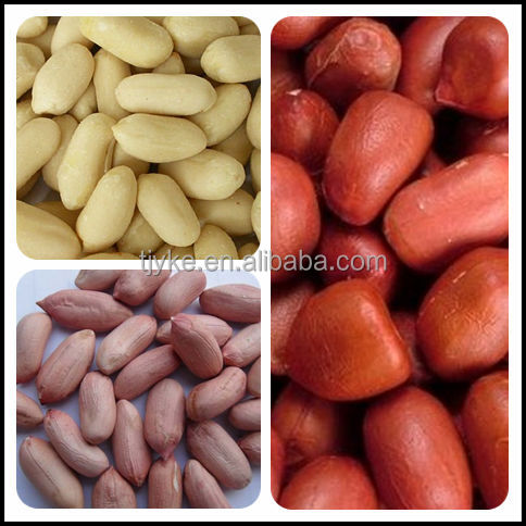 peanut kernels with lowest price