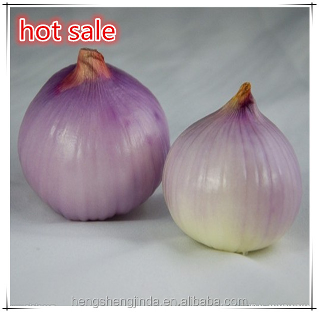 2014 fresh red onion corp export
