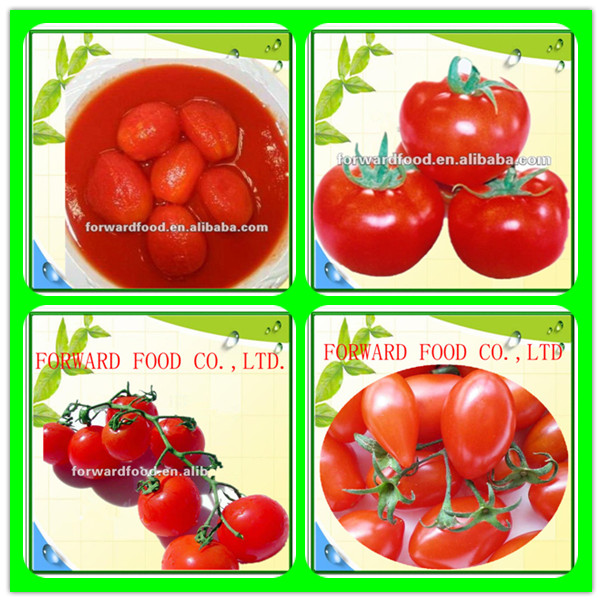tomato sauce in canned tomato sauce price for caned tomato sauce