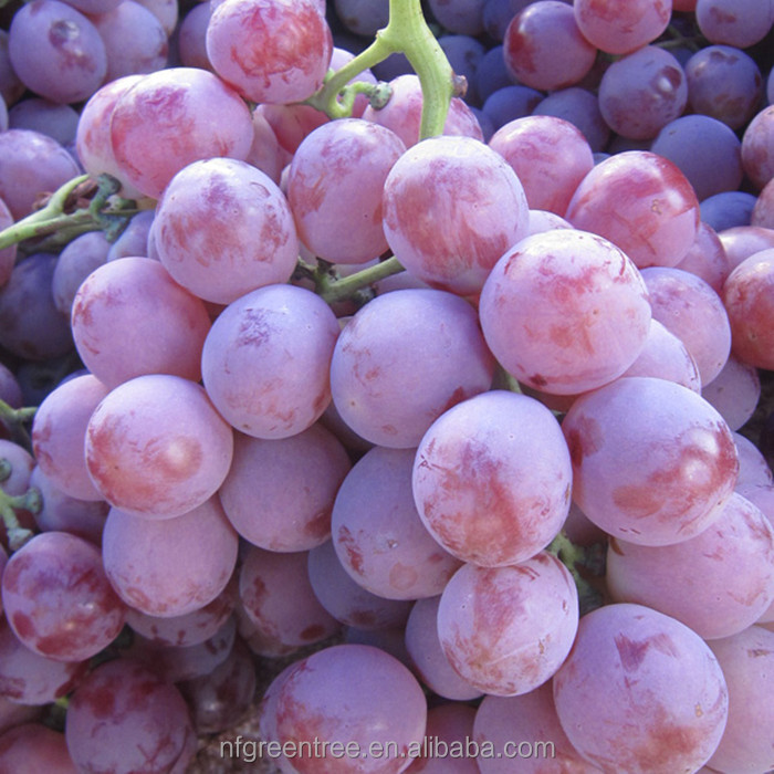 Typical sweet grape sugar from original supplier