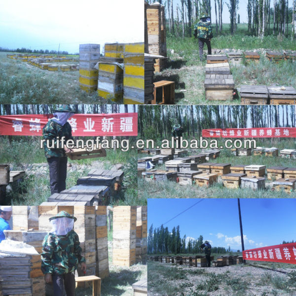 Grade A,B,C beeswax for candle making, beeswax pharmaceutical grade