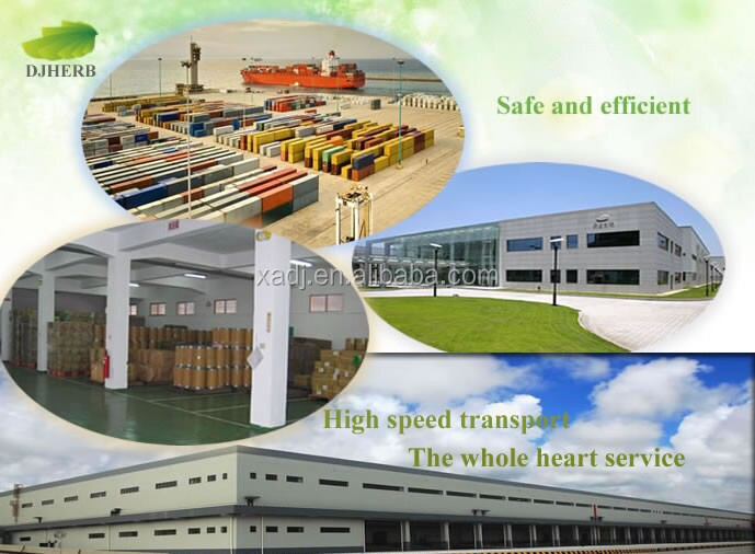 Cocoa beans oil extraction,cocoa extract theobromine,cocoa powder extract