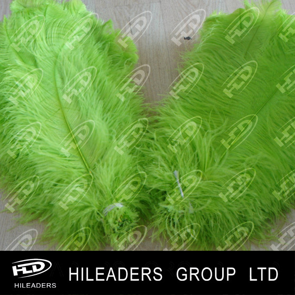 ostrich feathers big (5)