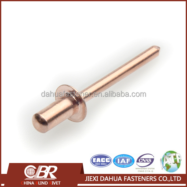 Sealed Type Copper Blind Rivet.JPG