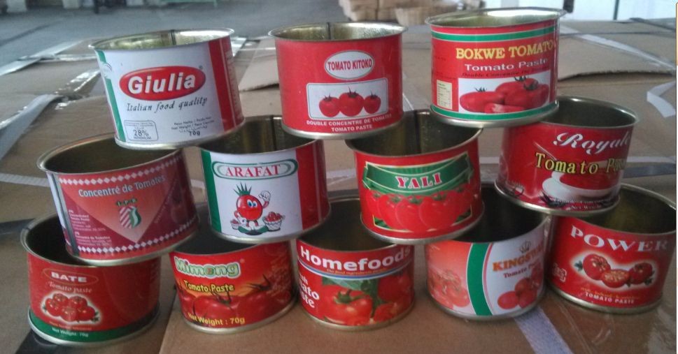 Fresh Tomato Sauce