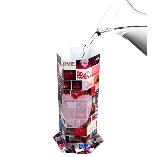 新しい防水eg522014年蒸気を吸うmodの花瓶の花の花瓶仕入れ・メーカー・工場