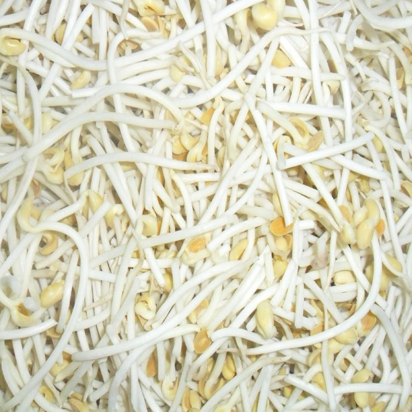 best quality frozensoybean sprouts in frozen vegetables