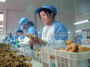 air dry ginger - fresh ginger market in China