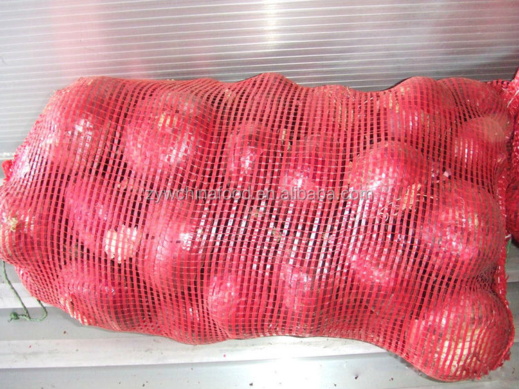 Fresh Onion Red Onion Good Taste For Hot Sale