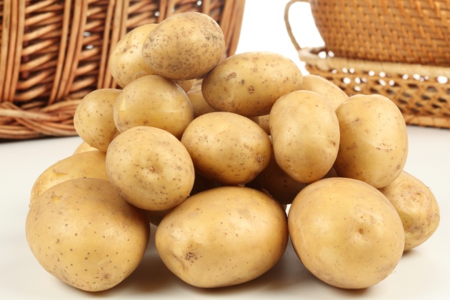 Potatoes from productive quality in northwest China