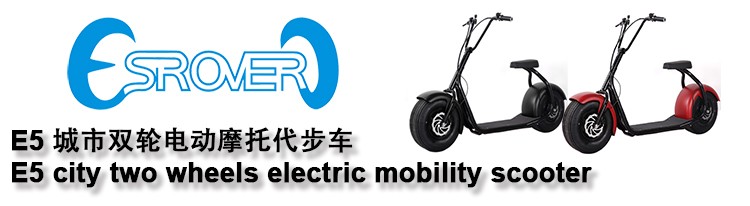 2016 the most fashionable citycoco 2 wheel electric scooter, adult electric motorcycle