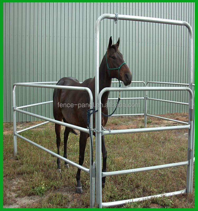 Horse Feeders Hay Racks Hay And Grain Feeders Buy Hay Grain