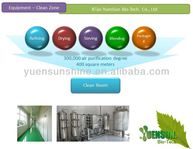 green tea extraction polyphenols powder 10%-98%
