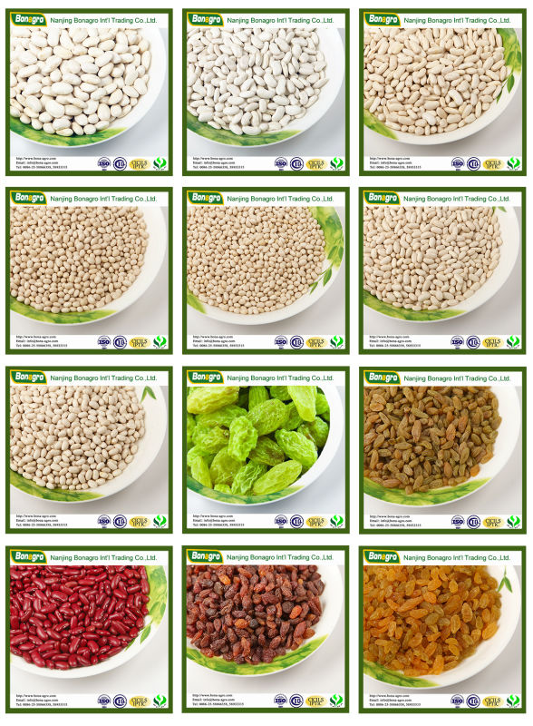 Tibet Safflower new crop /Saffron
