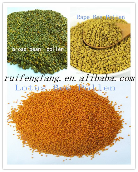 2014 new and natural bee pollen powder from bee keeping manufacturer