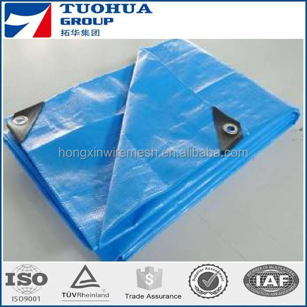 pe tarpaulin 2.JPG