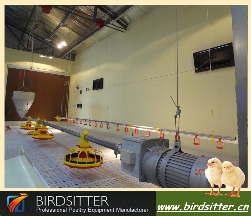 Birdsitter iso9001資格ブロイラー率チキン家家禽コントロールファーム仕入れ・メーカー・工場