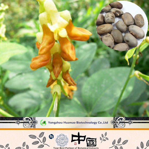 98 Velvet Bean Extract Levodopa Powder In Hot Selling Buy 98 Velvet