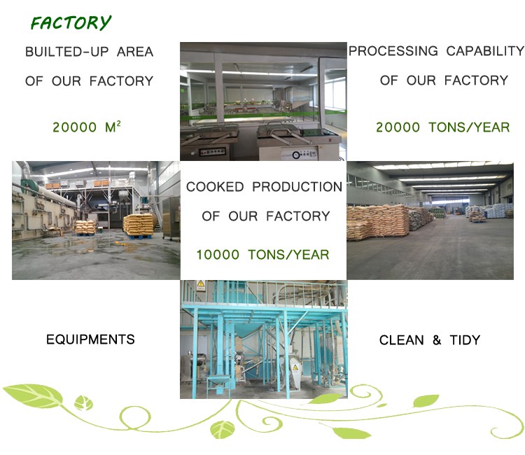 factory 1