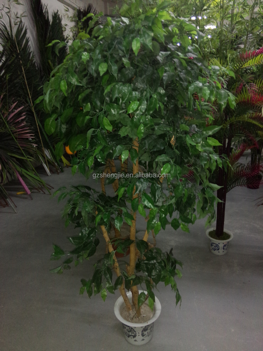 Y26 gebruik voor binnen decoratieve miniatuur banyan boom, levende ...