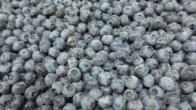 blueberry sorting machine