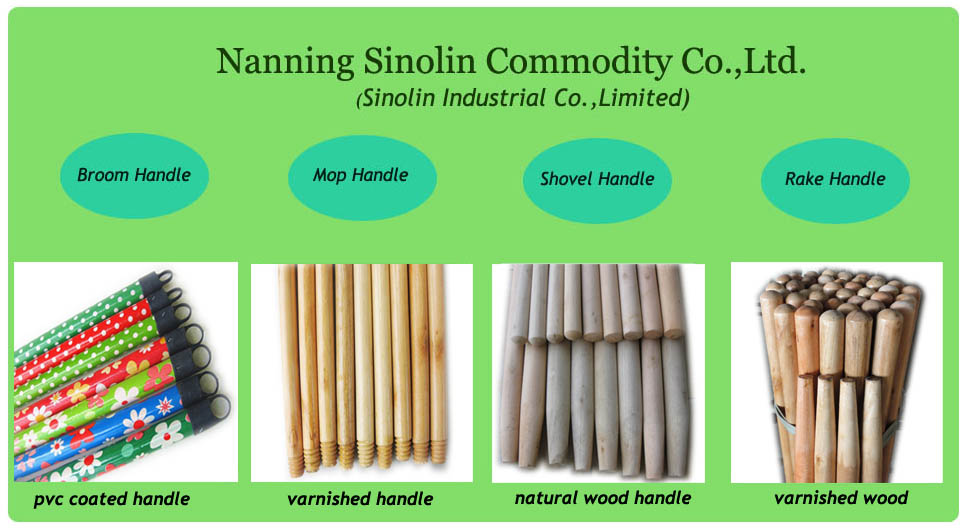 SINOLIN-TITLE