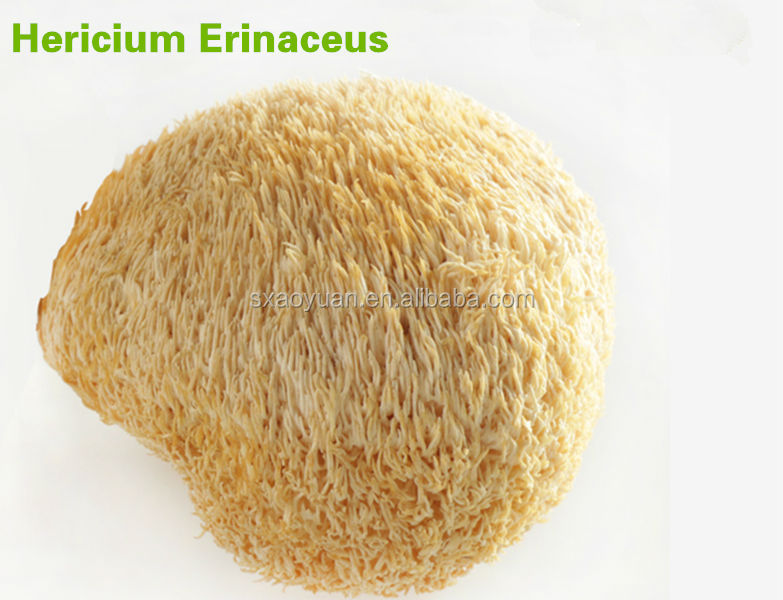 Top Quality Soybean Extract Soy Isoflavone