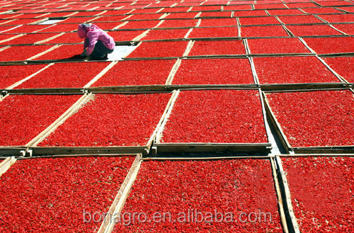NingXia Goji Berry