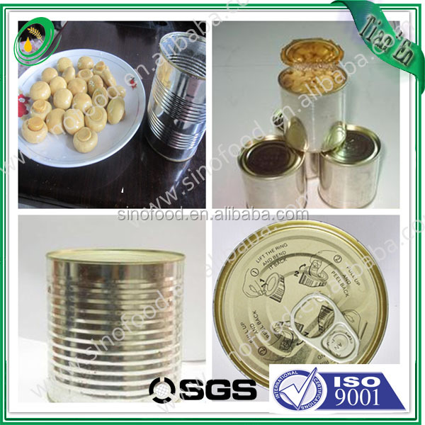 New crop canned mushroom in tin with top quanlity