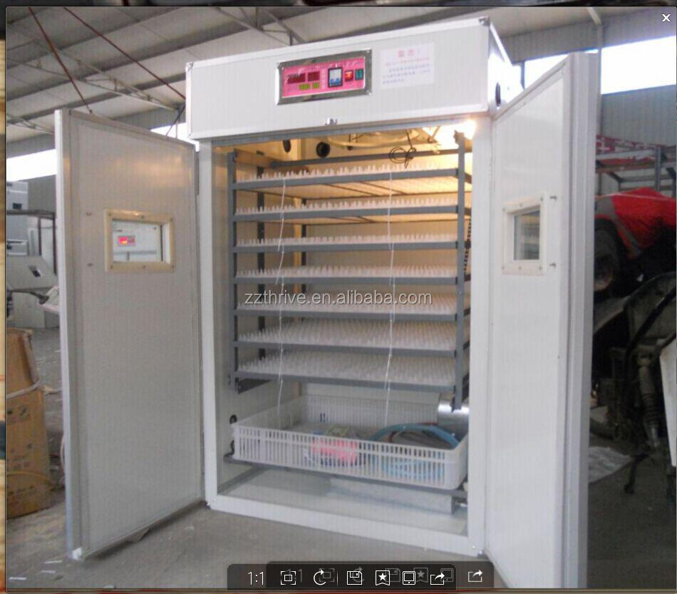 Cheap Egg Hatching Machine/chick Hatch Machine Buy Chick Hatch