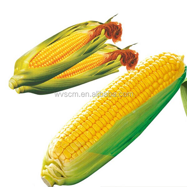 corn starch based biodegradable bag shopping bag