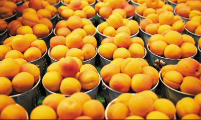 canned fruit in sugar water/ canned yellow peach