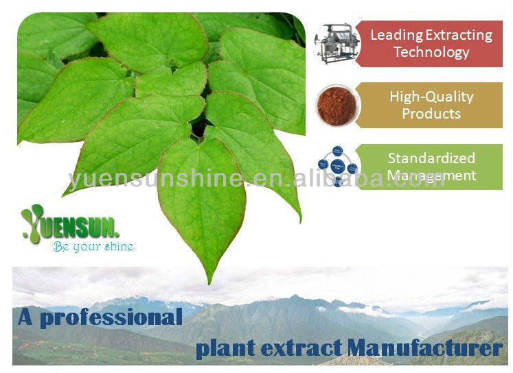 Tea polyphenol instant green tea extract powder