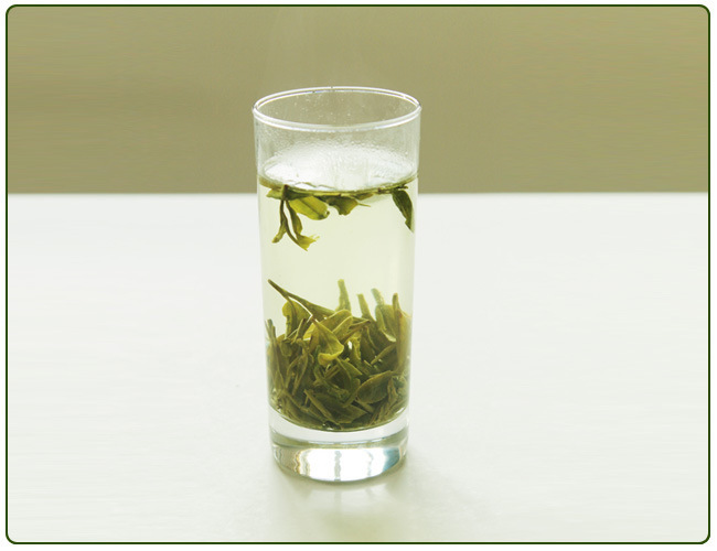Distributors factory in China green tea price per kg